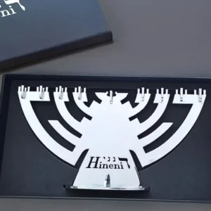 חנוכיית הנני בעיצוב אביגיל פילדמן, בקופסא